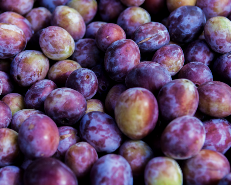 When Are Plums in Season?