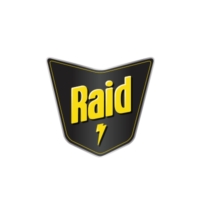 Raid